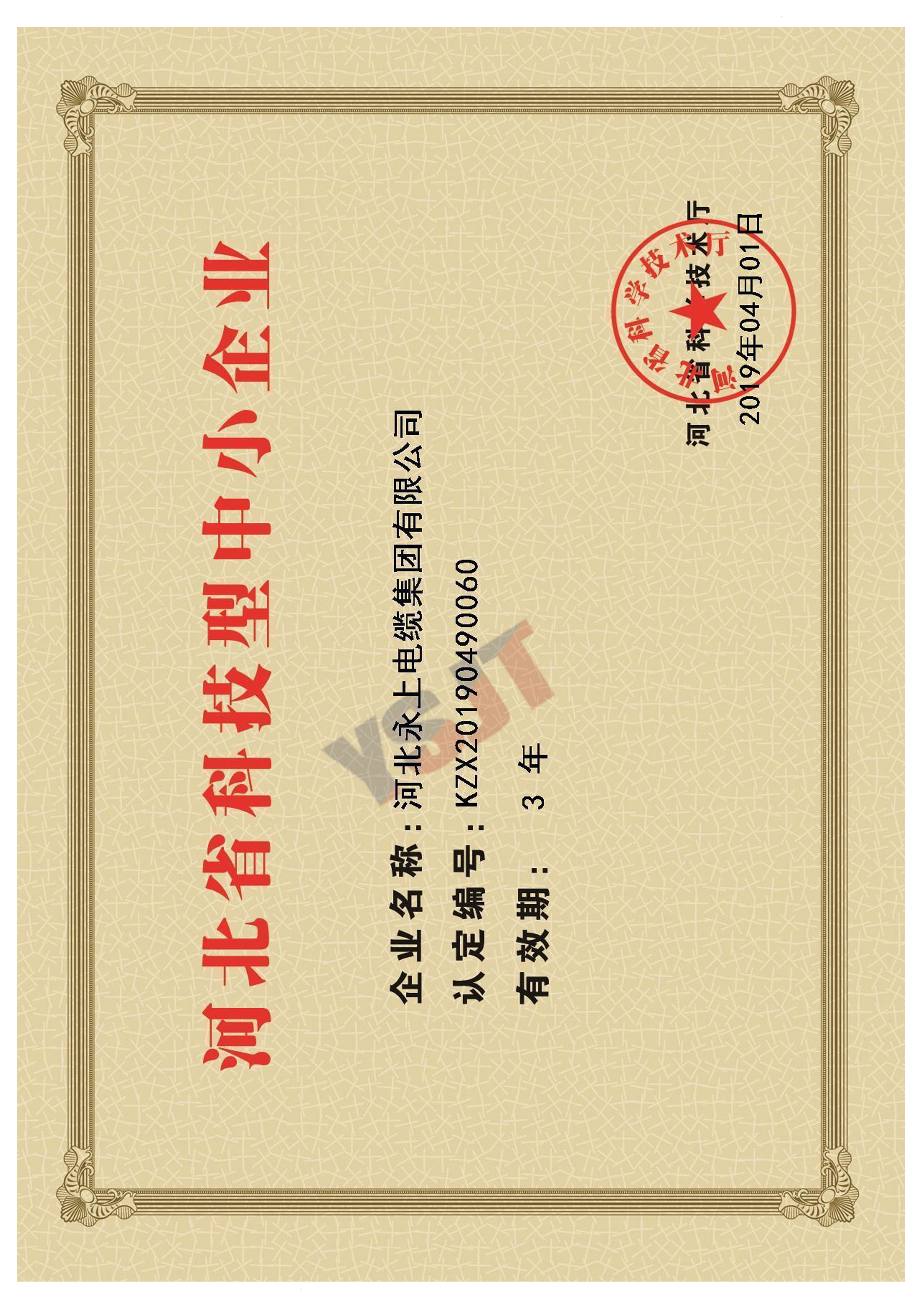 科技型中小企業(yè)